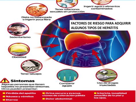 ¿Qué es la hepatitis? - Consulta de Aparato Digestivo: Médico ...