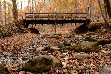 Shale Hollow Park - Preservation Parks of Delaware County