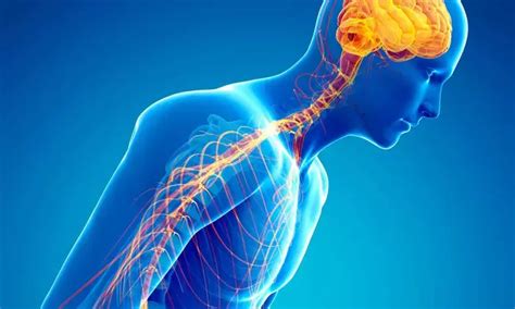 Recognition and prevention of spinal cord damage in cases of nitrous ...