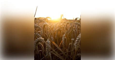 Miller Funeral Home & Crematory Somerset, Pennsylvania (PA) | Who Passed On