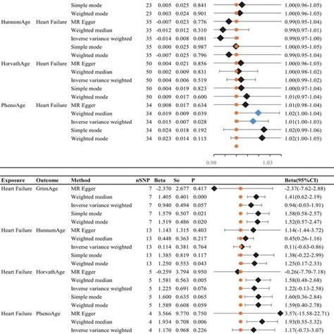Image result for Stata Software Generic Inverse Variance Method