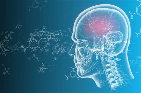 Elon Musk's Neuralink gets FDA approval for human test of brain implants