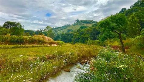 Manyam ViewPoint Is A Must-Visit Tranquil Destination In 2025