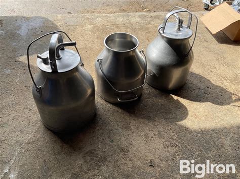 Stainless Steel Milking Pails | Agriculture | BigIron
