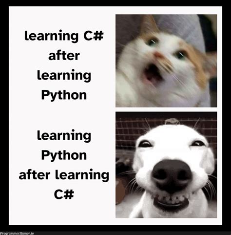 Image result for Python vs Java HelloWorld Meme