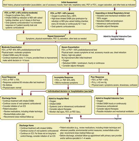 Management of Asthma Exacerbations in the Emergency Department - The ...