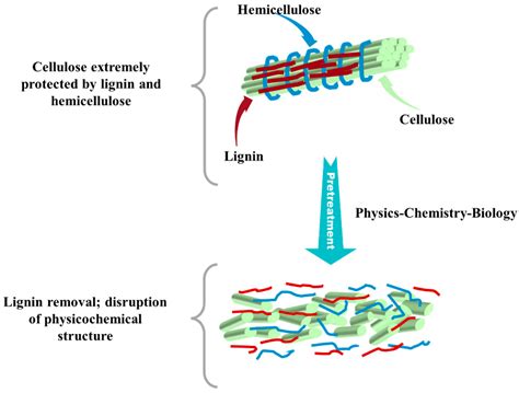 Physical–Chemical–Biological Pretreatment for Biomass Degradation and ...