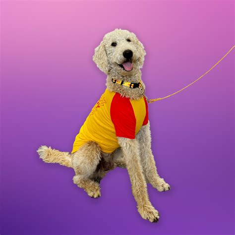 Purina Beggin' Dog Treats Celebrates Its Classic Ad with a Sizzlin ...