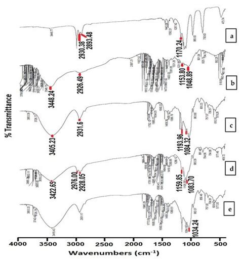 Cyclodextrin Stabilized Freeze-Dried Silica/Chitosan Nanoparticles for ...