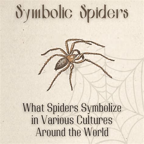 Unveiling the Enigmatic Spiritual Meaning of Spiders: Decoding Their ...