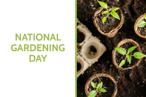 Enjoy National Gardening Day! - Dan Ugaste