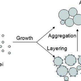 Image result for Wet Granulation Process