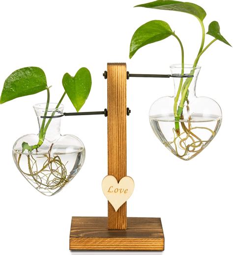 Buy Kingbuy Hydroponic Glass Vase Vintage Desktop Plant Terrarium ...