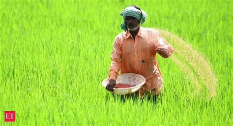 p&k fertilizer subsidy: Watch: In a relief for farmers, Govt approves ...