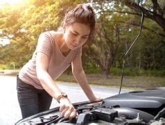 Here’s How To Keep Rats Away From Engine of Your Car » Car Blog India