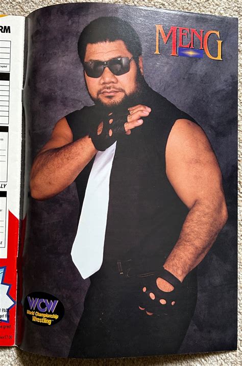 Meng WCW 1994 的图像结果