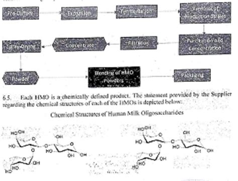 Nutricia’s 5-HMO Mix for Infant Formula Falls Under Tariff Item ...