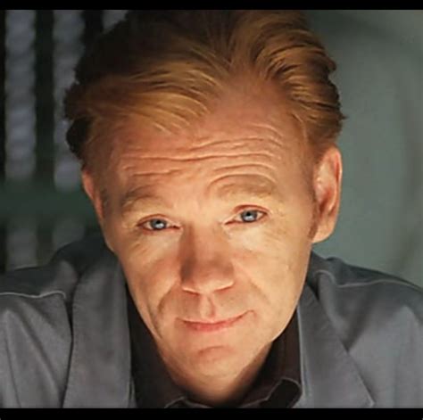 Pin by Maria Heroina on Natal especial in 2025 | David caruso, Caruso ...