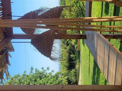 CONVERSAS DE ALPENDRE (Vila Real de Santo Antonio) - Lodge Reviews ...