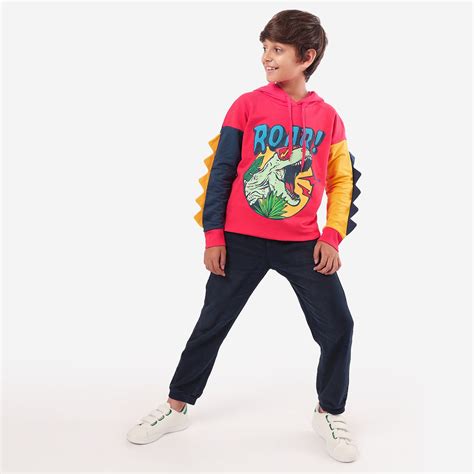 Roar Printed Boys Hoodies – BONKIDS