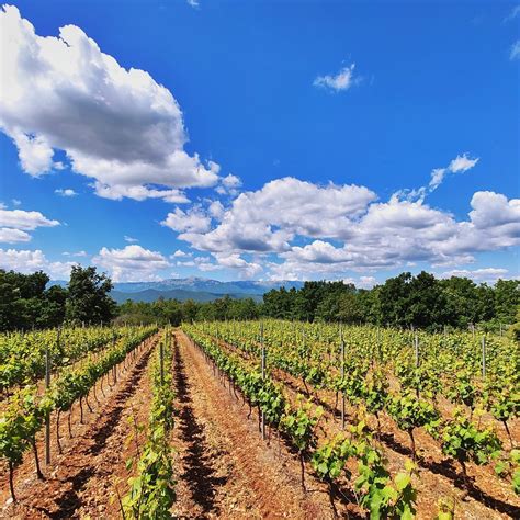 VINA ĐUZEL (Updated 2026) All You Need to Know BEFORE You Go (with Photos)