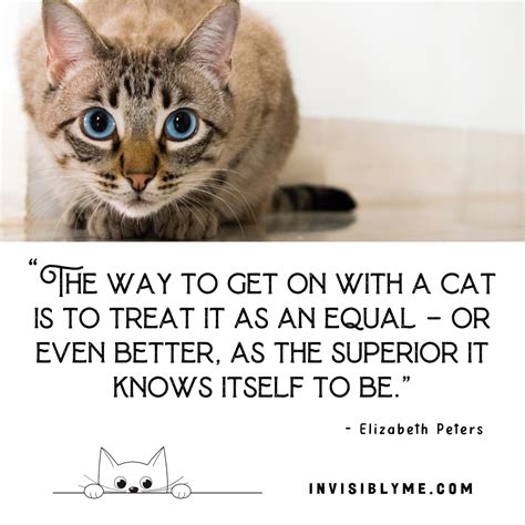 17 Cat Quotes That Explain The Feline Way Of Life - Invisibly Me