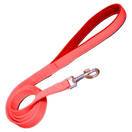Alcazar Nylon Dog Leash With Soft Padded 137 CM Long (.75 Inch, RED)