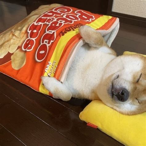 Fade YT 的图像结果