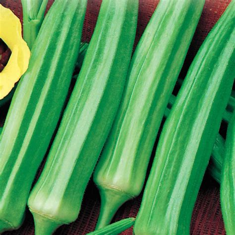 Okra Seeds, Clemson Spineless – McKenzie Seeds