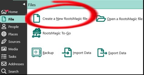 Image result for How to Use RootsMagic