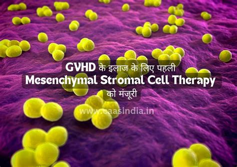 Mesoblast : GVHD के इलाज के लिए पहली Mesenchymal Stromal Cell Therapy ...