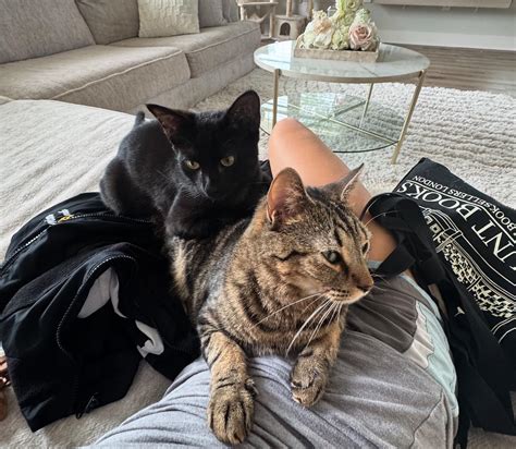 Elle (@mmadison.ellee) • Instagram photos and videos