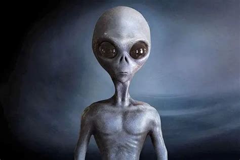 英UFO專家：外星人一直生活在地球上 或在海底 ＊ 阿波羅新聞網