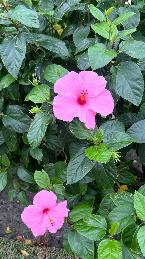 SABRINA SABLOSKY (@sabrinasablosky) • Instagram photos and videos