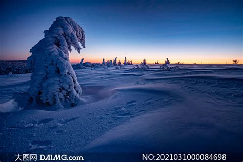 月光下的美丽雪景摄影图片_大图网图片素材