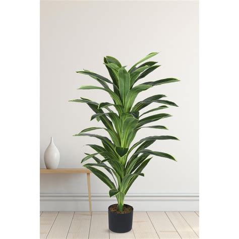 Buy Home Bloom Artificial Dracaena Reflex Plants for Indoor & Outdoor ...