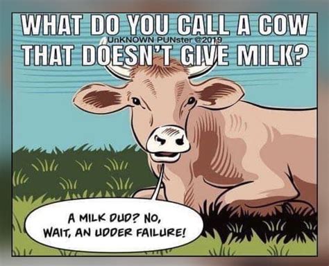 Pin by Broncosfan88! on Humor | Funny jokes for kids, Funny corny jokes ...