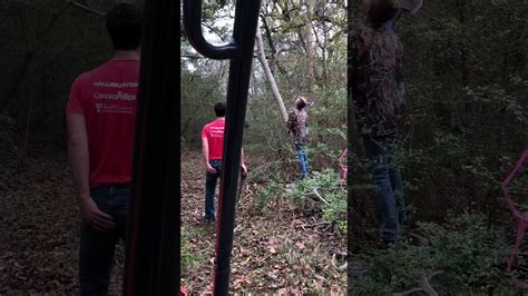 Logging Tree Fails Compilation 的图像结果