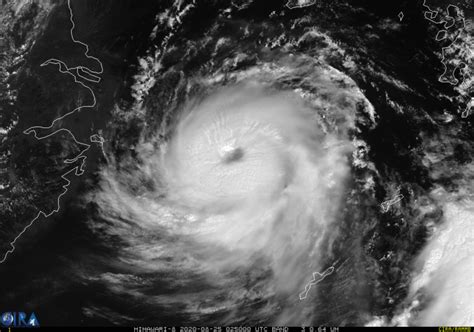 专家解读：台风“巴威”将穿过东北三省，后续有何影响