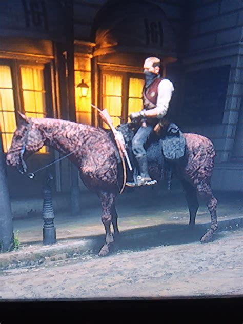 Hmm is this a zombie horse or was it just on fire | Scrolller