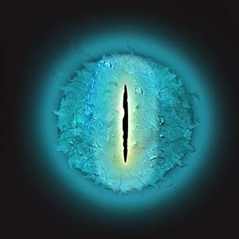 Alien Eye Texture 的图像结果