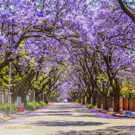 Courtyard Oxford City Centre on LinkedIn: #earth #earthfocus #recycle # ...