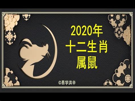 【12生肖2020年运势运程】生肖属鼠的人2020年运程详解 易学洪辛老师 - YouTube