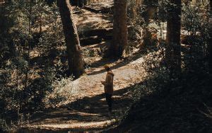 Wallpaper forest, man, loneliness, trees hd, picture, image