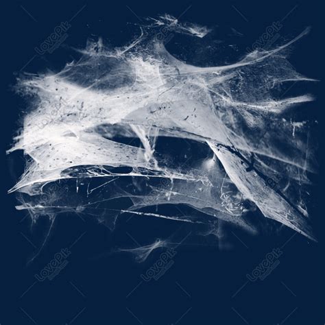 Image result for Realistic Spider Web