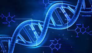 nCounter Analysis System | Products | Bioinnovations