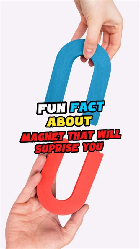 15 awesome facts about magnets that will surprise you – Artofit