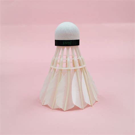 Most Expensive Shuttle Cock 的图像结果