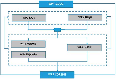 The EC MUSA Project on Management and Uncertainty of Severe Accidents ...