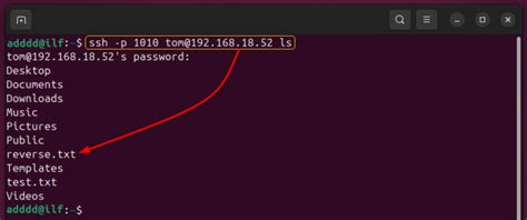 Image result for Linux Using SCP